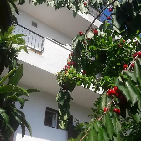 Lans * Vodice